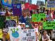 students strike with hand-hold placards