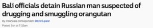 Bali officials detain Russian man suspected of drugging and smuggling orangutan