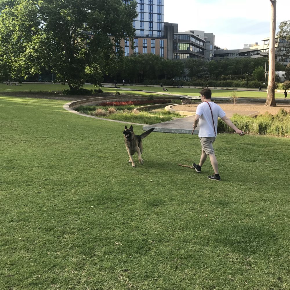 A child running with his dog