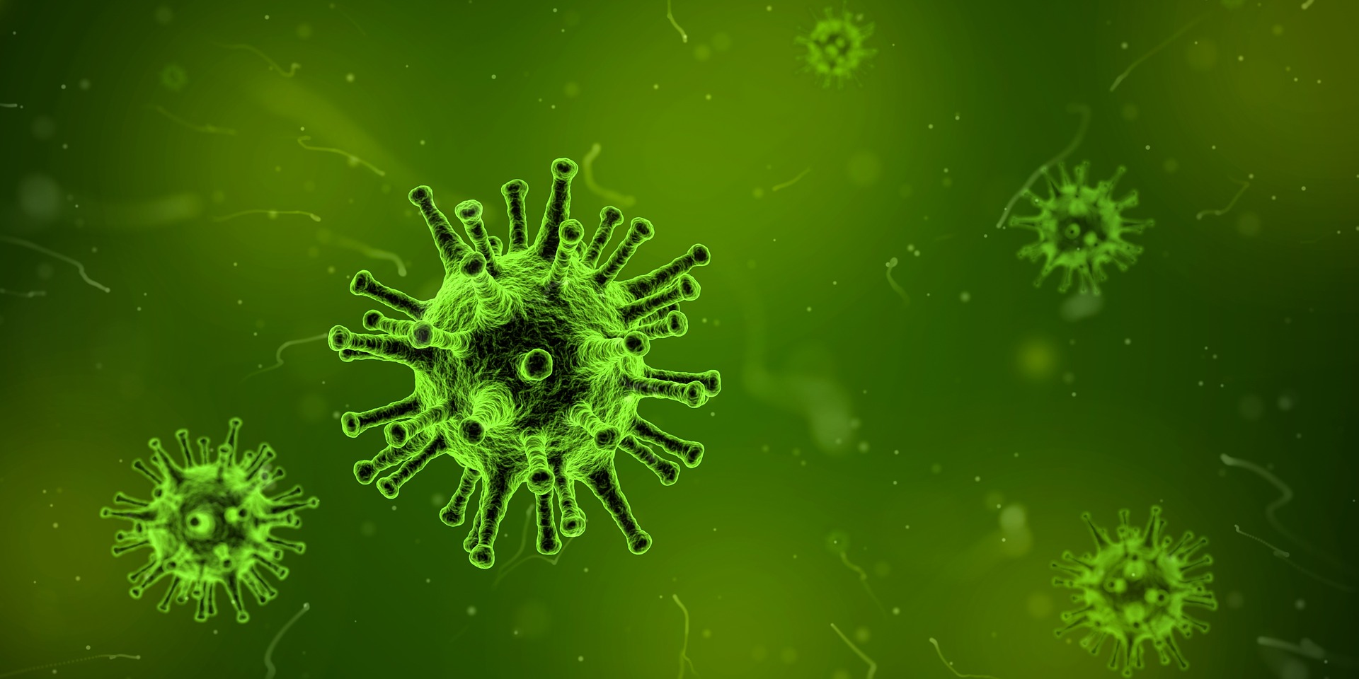 Sketch map of influenza strain.