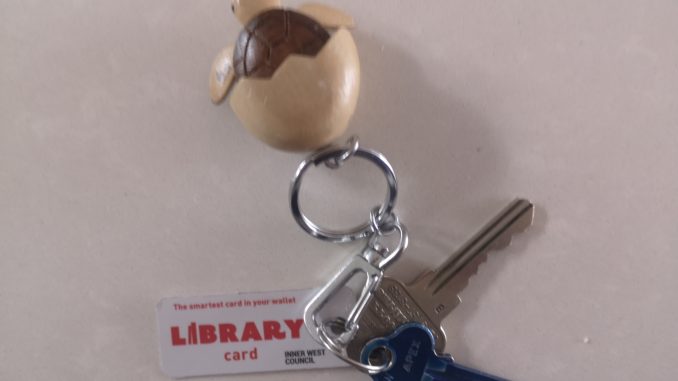 Keyring with keys and library card