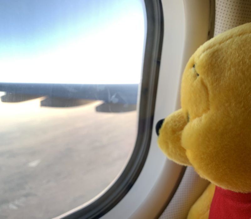 Winnie‘s landing