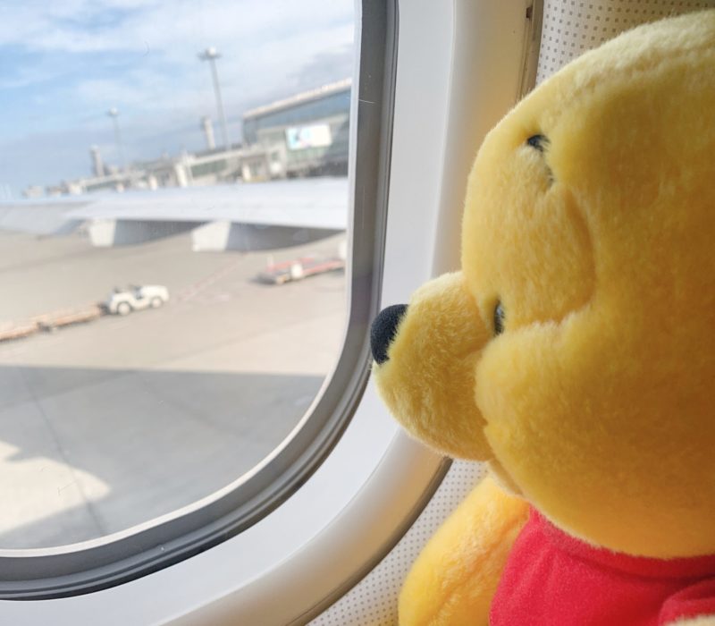 Winnie wonders when the flight takes off