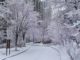 Snow in Beijing during coronavirus